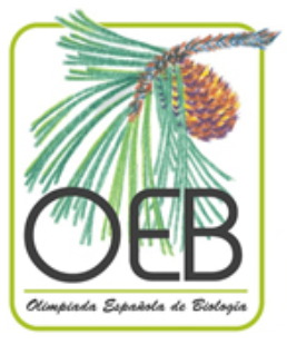 OEB